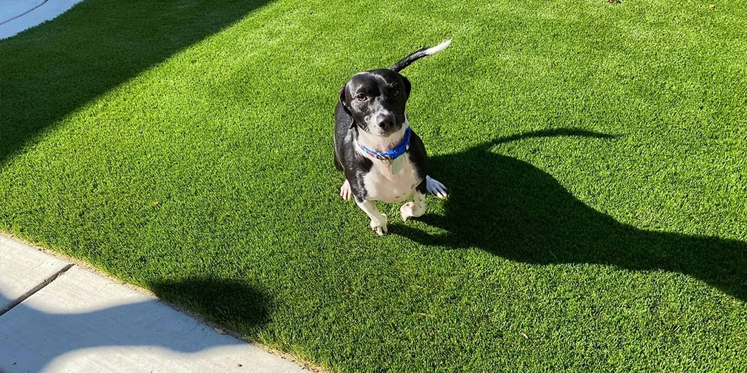 Частные дворы